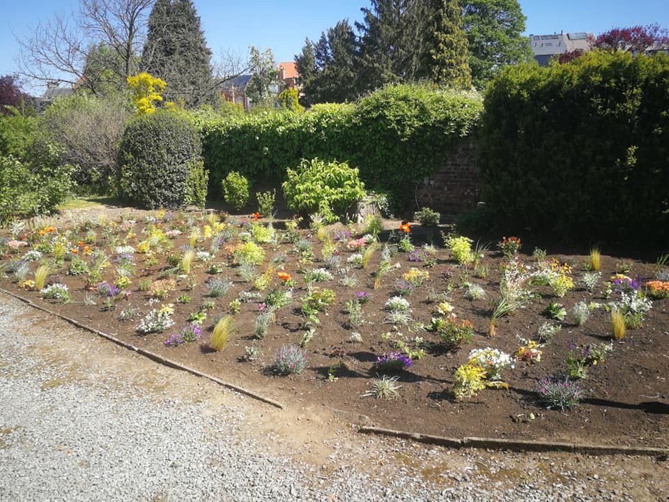 Tuinaanleg en beplanting